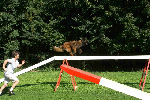 agility 2011-08